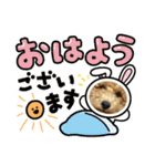わたちのペット（個別スタンプ：20）