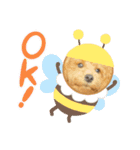 わたちのペット（個別スタンプ：24）