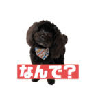 ヨープーのCONAN♡（個別スタンプ：5）