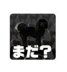 ヨープーのCONAN♡（個別スタンプ：12）