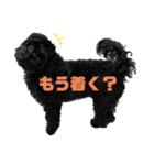 ヨープーのCONAN♡（個別スタンプ：14）