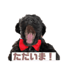 ヨープーのCONAN♡（個別スタンプ：16）