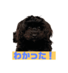 ヨープーのCONAN♡（個別スタンプ：23）