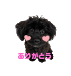 ヨープーのCONAN♡（個別スタンプ：28）