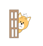 柴犬コロコロ日記（個別スタンプ：16）