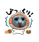 SMILE CAT（個別スタンプ：2）