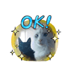 SMILE CAT（個別スタンプ：8）