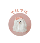 Rope dog（個別スタンプ：4）