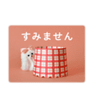 Rope dog（個別スタンプ：5）