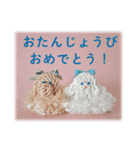 Rope dog（個別スタンプ：24）