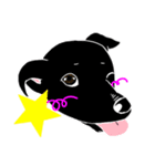 黒犬の“ダン”スタンプ（個別スタンプ：1）