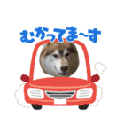 あんずスタンプPart3（個別スタンプ：7）