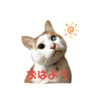 チャムと愉快な仲間たち（個別スタンプ：1）
