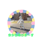 えみる、はやと（個別スタンプ：11）