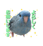 Angel D（個別スタンプ：4）