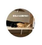 にごすたんぷ！（個別スタンプ：8）