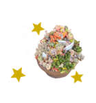 多肉植物スタンプ③（個別スタンプ：8）