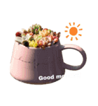 多肉植物スタンプ③（個別スタンプ：13）