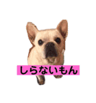 なんとなく使える武美のお仕事スタンプ（個別スタンプ：4）