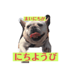 なんとなく使える武美のお仕事スタンプ（個別スタンプ：5）