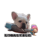 なんとなく使える武美のお仕事スタンプ（個別スタンプ：7）