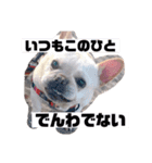 なんとなく使える武美のお仕事スタンプ（個別スタンプ：12）