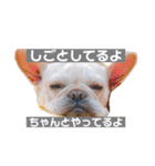 なんとなく使える武美のお仕事スタンプ（個別スタンプ：16）