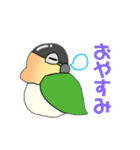 ズグロシロハラインコ！（個別スタンプ：3）