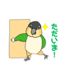 ズグロシロハラインコ！（個別スタンプ：7）