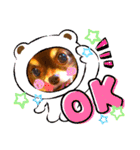 チョコちゃんスタンプ♡*(業務連絡編)（個別スタンプ：1）