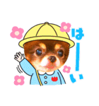 チョコちゃんスタンプ♡*(業務連絡編)（個別スタンプ：8）