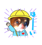 チョコちゃんスタンプ♡*(業務連絡編)（個別スタンプ：9）