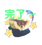 チョコちゃんスタンプ♡*(業務連絡編)（個別スタンプ：20）