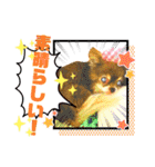 チョコちゃんスタンプ♡*(業務連絡編)（個別スタンプ：23）