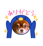 チョコちゃんスタンプ♡*(業務連絡編)（個別スタンプ：25）