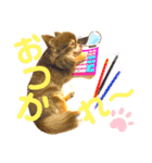 チョコちゃんスタンプ♡*(業務連絡編)（個別スタンプ：27）