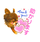 チョコちゃんスタンプ♡*(業務連絡編)（個別スタンプ：32）