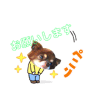 チョコちゃんスタンプ♡*(業務連絡編)（個別スタンプ：34）