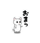 猫あそび（個別スタンプ：14）