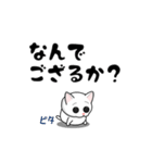 猫あそび（個別スタンプ：22）