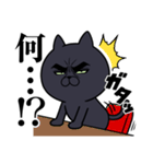 目ヂカラ★にゃんこ【黒猫】（個別スタンプ：15）