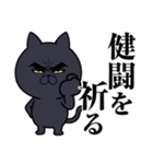 目ヂカラ★にゃんこ【黒猫】（個別スタンプ：30）