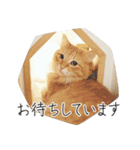 くつろぎ猫カフェnorara "ビジネス会話”（個別スタンプ：20）