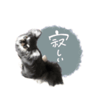 ♡ゆうか様（個別スタンプ：12）