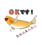メダかわいい日常スタンプ（楊貴妃メダカ）（個別スタンプ：1）