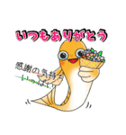 メダかわいい日常スタンプ（楊貴妃メダカ）（個別スタンプ：2）