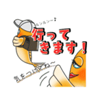 メダかわいい日常スタンプ（楊貴妃メダカ）（個別スタンプ：3）