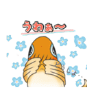 メダかわいい日常スタンプ（楊貴妃メダカ）（個別スタンプ：28）