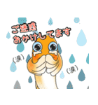 メダかわいい日常スタンプ（楊貴妃メダカ）（個別スタンプ：31）