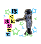 こー＆みー＆たい（個別スタンプ：4）